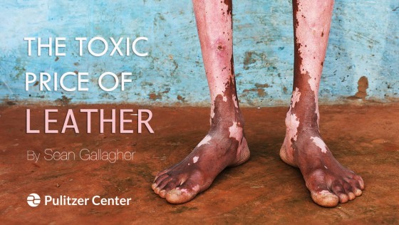 紀錄片推薦：一個精品包的重量《The Toxic Price of Leather》皮革產業的污染
